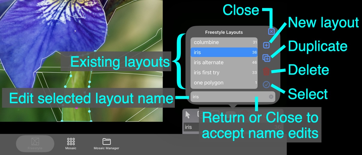 Freestyle layout manager