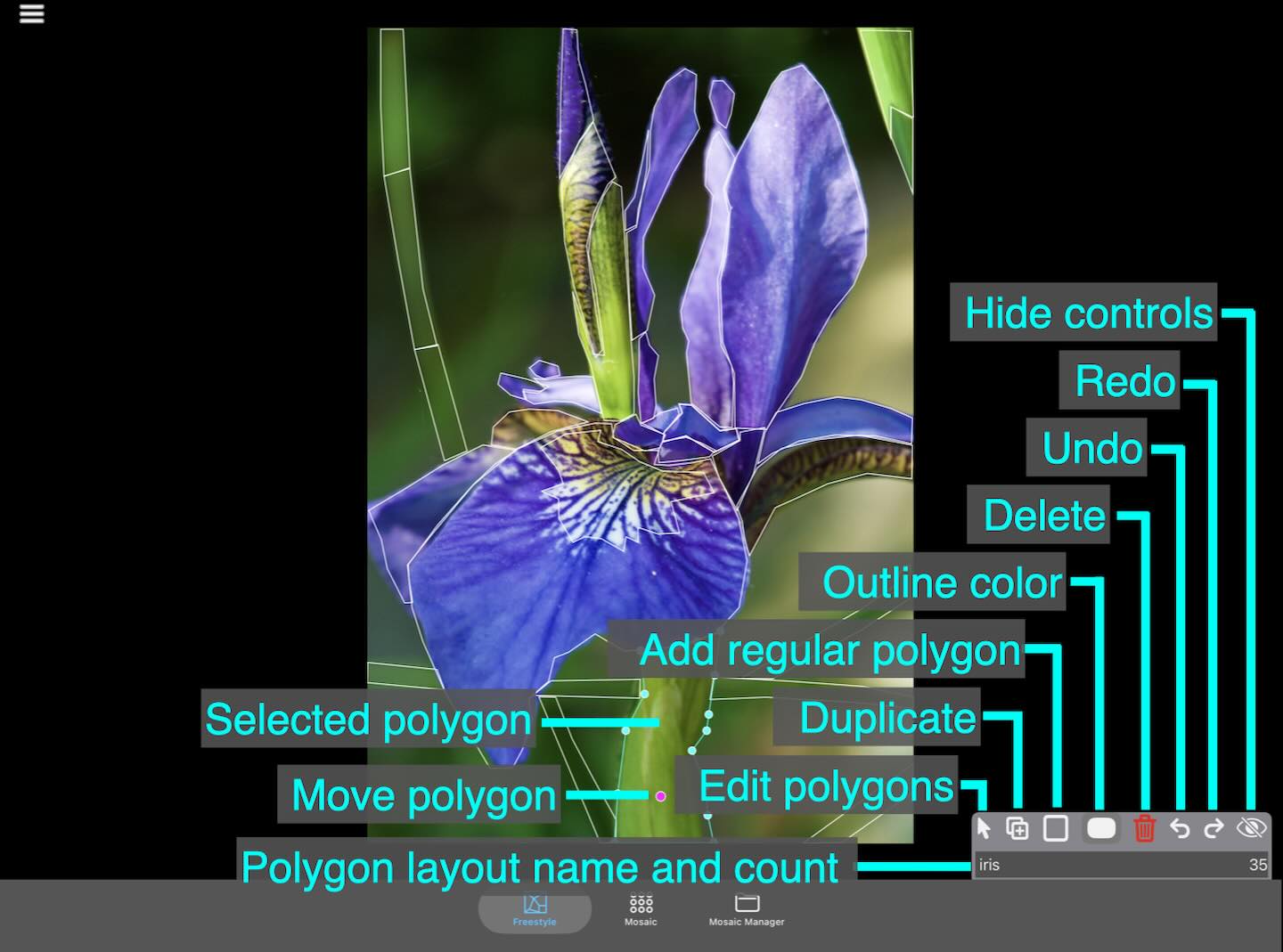 Annotated image of freestyle tab